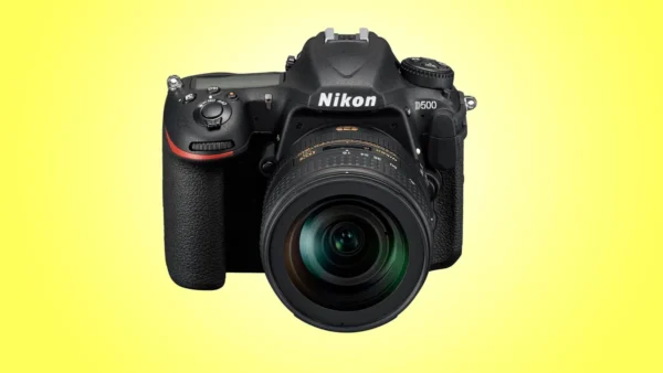 Nikon Z500: Người Kế Nhiệm Đáng Mong Đợi Của D500