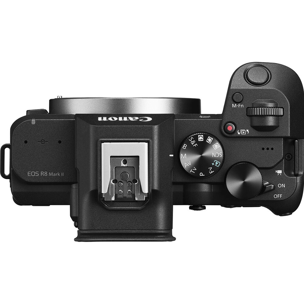 Canon EOS R8 Mark II - Ảnh 5