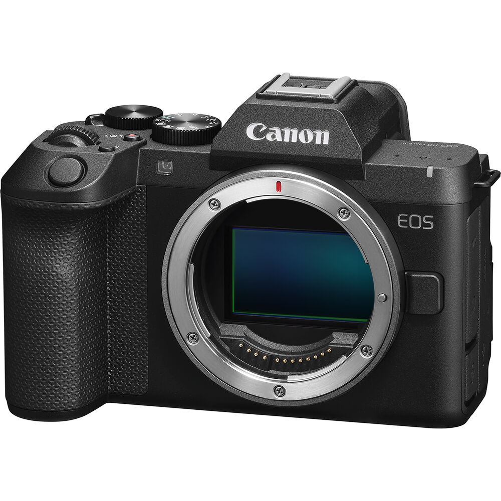 Canon EOS R8 Mark II - Ảnh 3